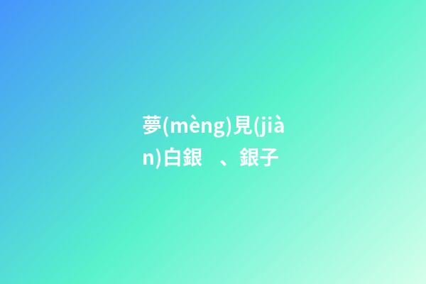 夢(mèng)見(jiàn)白銀、銀子